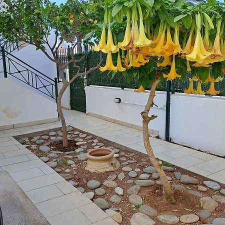 Dimitris Place Near Athens Airport Koropíon Dış mekan fotoğraf