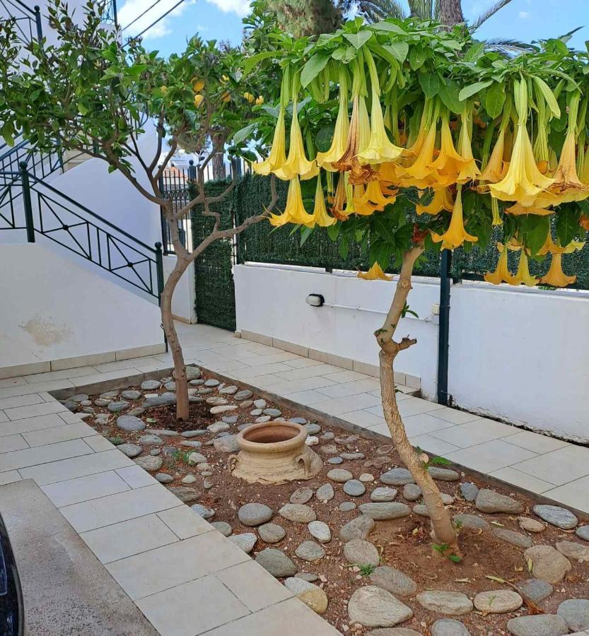 Dimitris Place Near Athens Airport Koropíon Dış mekan fotoğraf