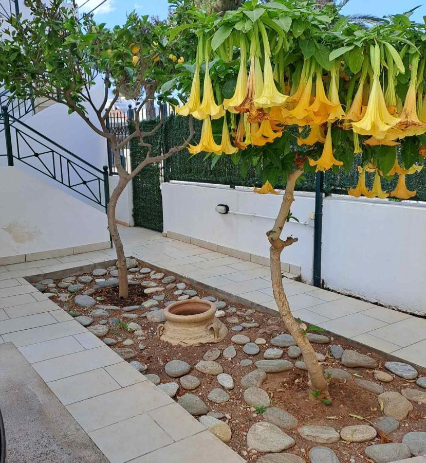 Dimitris Place Near Athens Airport Koropíon Dış mekan fotoğraf