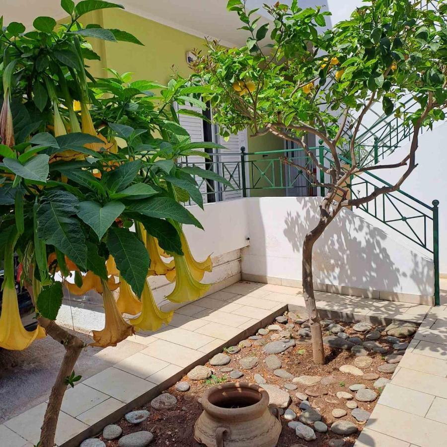 Dimitris Place Near Athens Airport Koropíon Dış mekan fotoğraf